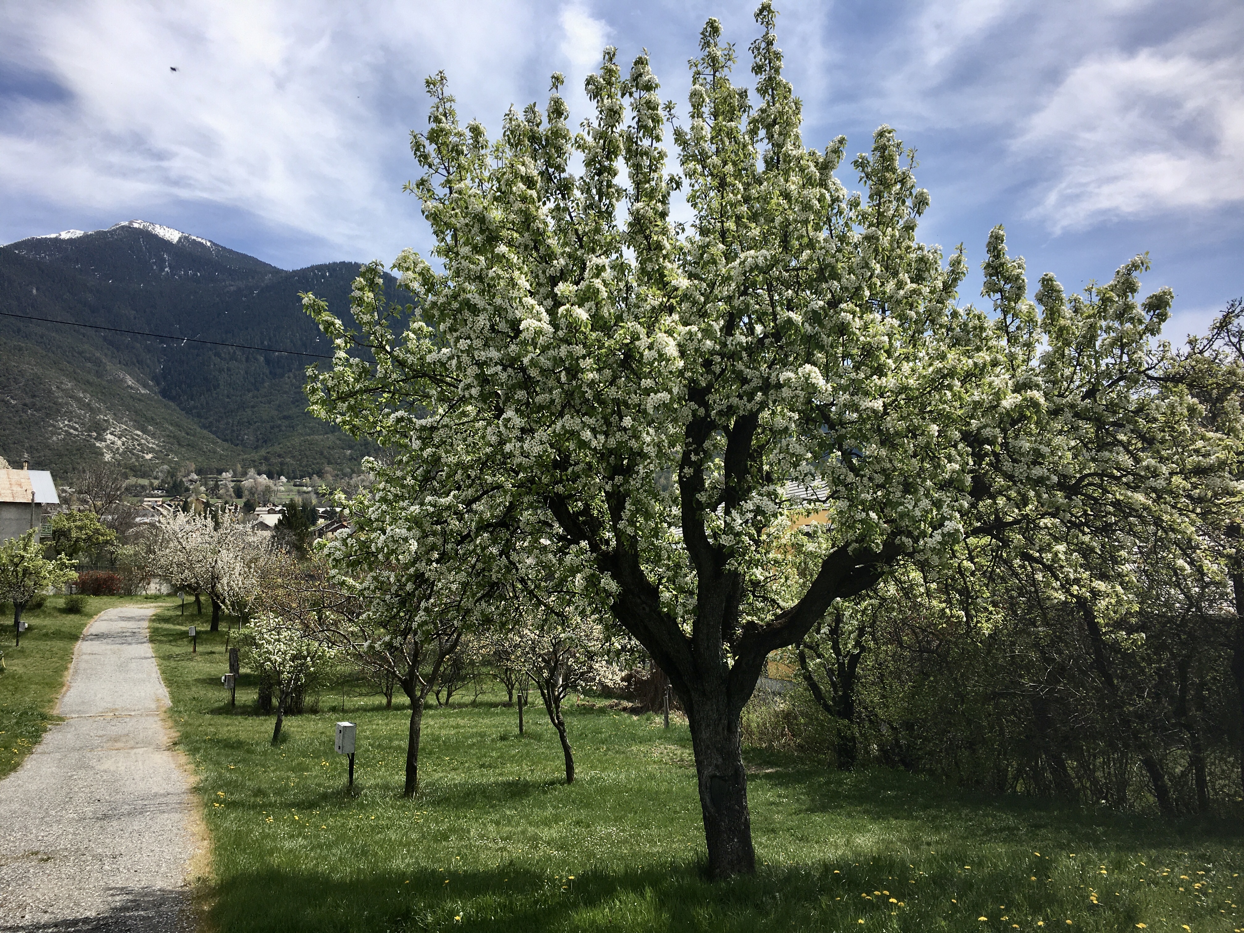 Camping de Juin à Octobre